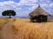 A small Hut