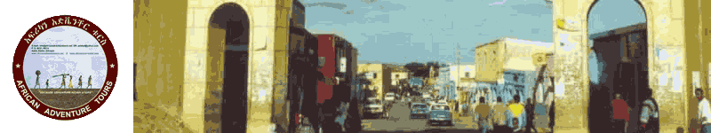 Harer Banner