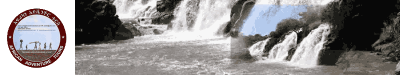 Nature Banner