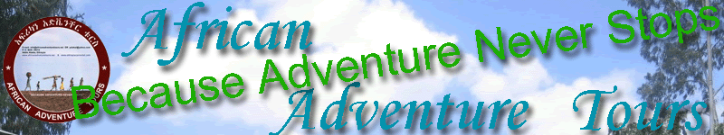 Site Banner