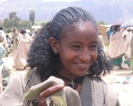 Tigray